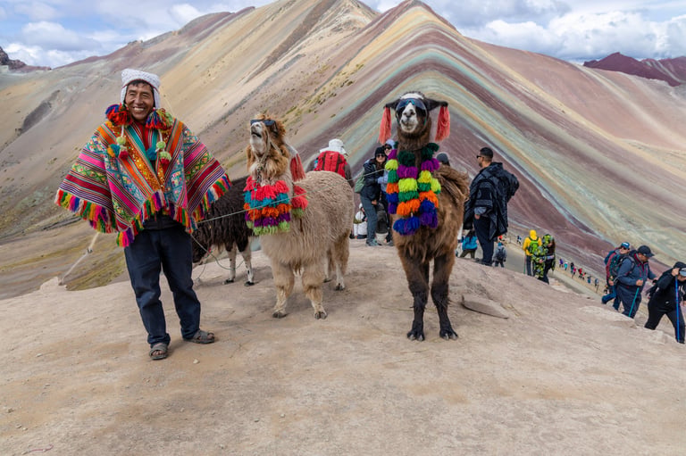 A shaggy brown llama walks across a green, grassy Andean landscape under a cloudy sky. Captures the wildlife and high-altitude scenery of South America.