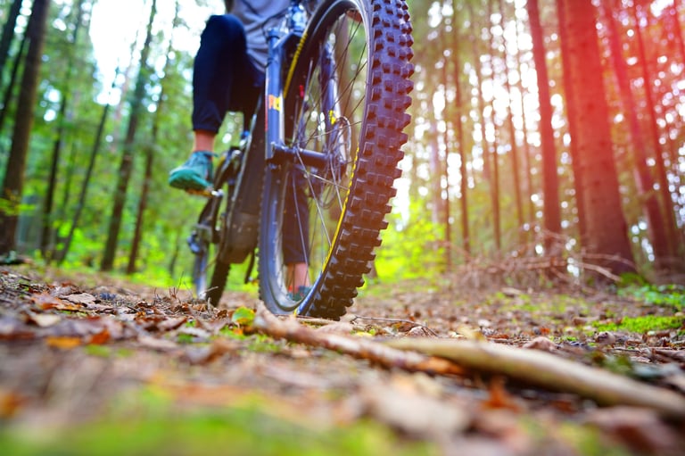 Cyclist on a bicycle, front view. Sportsman cyclist on Electric mountain bike on a forest trail. MTB E-bike ride on forest road in summer
